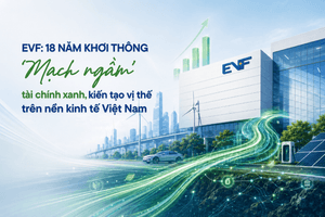 EVF: 18 năm khơi thông 'mạch ngầm' tài chính xanh, kiến tạo vị thế trên nền kinh tế Việt Nam