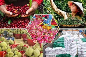 Hơn 18.500 nông sản Việt Nam chính thức được cấp 'hộ chiếu'