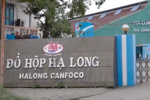 Bê bối 130 tấn heo nhiễm bệnh để lại hậu quả nghiêm trọng, Đồ hộp Hạ Long dự kiến mất 70% doanh thu nội địa