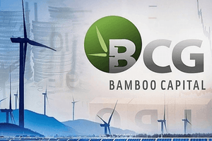 Công ty nhóm Bamboo Capital (BCG) lỗ hơn 1.400 tỷ đồng sau kiểm toán, hé lộ loạt vấn đề nghiêm trọng