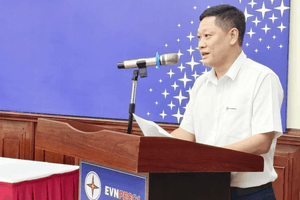 Big4 đồng loạt từ chối kiểm toán doanh nghiệp điện nghìn tỷ sau khi Chủ tịch bị khởi tố