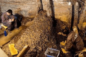 Phong tỏa khẩn cấp, tịch thu 3 tấn tiền xu trị giá 2 tỷ đồng được người dân phát hiện trong hang đá