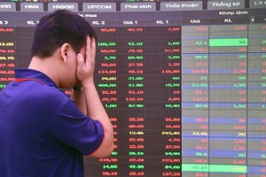 Nửa đầu 2026: Chỉ 1/55 quỹ chủ động 'vượt sóng' VN-Index