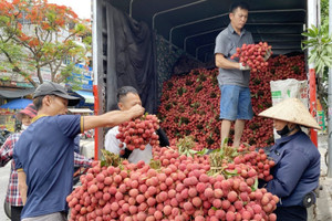 Bí quyết lập kỷ lục lịch sử của Bắc Ninh