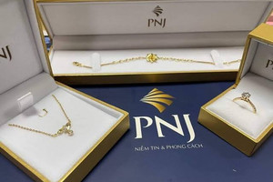 PNJ có diễn biến mới sau vụ nguyên Giám đốc P-LAB bị khởi tố
