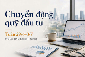 Chuyển động quỹ đầu tư 29/6-3/7: PYN Elite 'quay xe' bán SHS, khối ETF bị rút ròng hơn 4.200 tỷ từ đầu năm