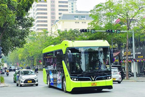 Từ nay, người đi xe buýt miễn phí tại TP. HCM cần đặc biệt lưu ý điều này kẻo mất quyền lợi