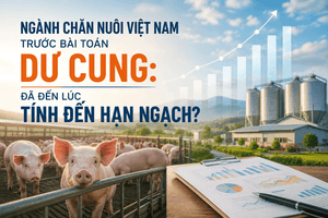 Ngành chăn nuôi Việt Nam trước bài toán dư cung: Đã đến lúc tính đến hạn ngạch?