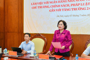 Phó Chủ tịch Quốc hội Nguyễn Thị Hồng có chỉ đạo ‘nóng’ tới Ngân hàng Nhà nước