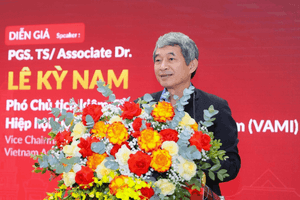 Chuyên gia: Việt Nam còn quá ít doanh nghiệp có năng lực như VinFast, THACO, Viettel...