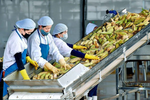 Chỉ còn khoảng 500 ngày, mục tiêu xuất khẩu nông sản 100 tỷ USD liệu có kịp?