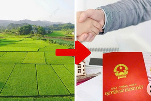 Tin vui cho người có đất vườn: Chuyển một phần sang đất ở, nhiều trường hợp không cần tách thửa