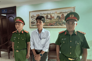 Khởi tố, bắt Giám đốc công ty Việt Mỹ, điều tra 250 tấn phân bón giả