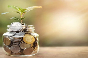 Một doanh nghiệp bán lẻ trả cổ tức tỷ lệ 30% sau năm lãi cao nhất lịch sử