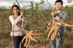 ‘Mỏ vàng xanh’ mới của Campuchia giúp đem về 690 triệu USD, Trung Quốc đang là bạn hàng lớn