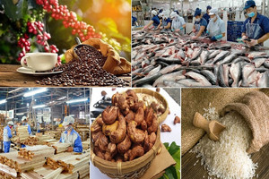Mỹ liên tục khởi xướng 3 cuộc điều tra, hàng Việt vào 'tầm ngắm': Điều gì đang xảy ra?