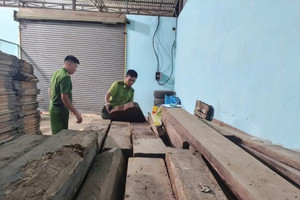 Kiểm tra đột xuất nhà kho hộ dân, phát hiện, tạm giữ 86 hộp gỗ không rõ nguồn gốc