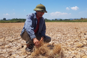 Gần 99% nguy cơ xảy ra 'siêu El Nino', chuyên gia cảnh báo điều đáng lo với Việt Nam
