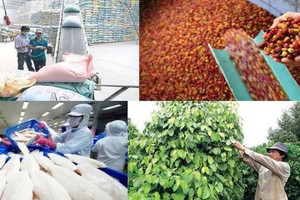 Xuất khẩu nông lâm thủy sản từ 70 đến 100 tỷ USD: Cần những bước đột phá mới