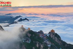 Việc nhẹ lương cực cao: Chỉ việc ăn và ngắm mây, nhận lương 230 triệu mỗi tháng