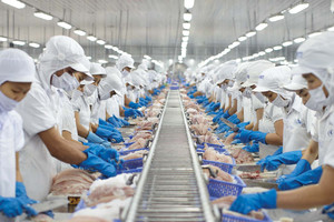 Một doanh nghiệp báo lãi quý II/2026 tăng 200%, 73% tài sản là tiền