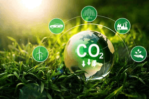 Thuế carbon 15 USD: Giảm gần 3% phát thải nhưng GDP có thể "mất" 0,8%