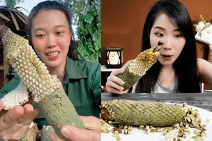 Từng bị bỏ mặc rụng đầy dưới gốc, loại quả này bất ngờ 'gây sốt' khắp Việt Nam: Giá gần 400.000 đồng/quả vẫn khó mua