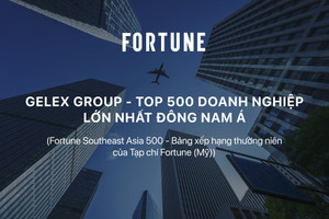 GELEX: Uy tín được ghi nhận từ thị trường