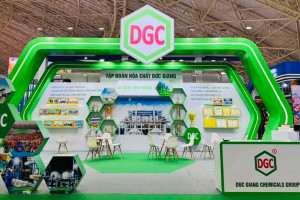 Khó khăn chồng chất, Hóa chất Đức Giang lùi tiến độ dự án 12.000 tỷ đồng