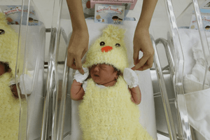 Phát hiện đường dây làm giả giấy khai sinh cho 164 trẻ sơ sinh Trung Quốc, gây thiệt hại gần 3.800 tỷ đồng