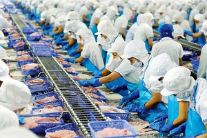 Kỷ lục mới của xuất nhập khẩu: Việt Nam tiến gần cột mốc 1.000 tỷ USD