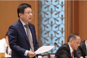 "Tuân thủ cũng vướng, không tuân thủ cũng vi phạm": Chủ tịch VCCI nói về nỗi lòng của doanh nghiệp