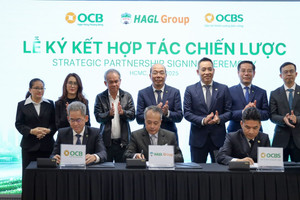 Công ty chứng khoán là đối tác của HAGL vừa báo lãi quý II/2026 tăng hơn 4.000%