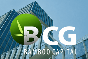 Công ty hệ sinh thái Bamboo Capital (BCG) báo lãi quý II/2026 tăng hơn 2.800%