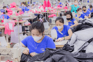 Vì sao Việt Nam có cơ hội trở thành cầu nối giữa CPTPP và EU?