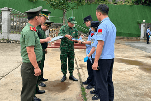Trục xuất 15 người nước ngoài khỏi Việt Nam