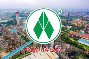 Đạm Hà Bắc (DHB) bất ngờ báo lãi trước thuế vượt 1.000 tỷ đồng