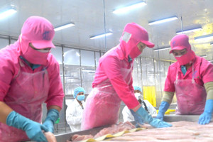 Thủy sản Việt Nam xuất Trung Quốc nhiều nhất