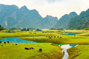 Ngôi làng duy nhất được ví như 'Mông Cổ thu nhỏ' ở Việt Nam được đề cử giải thưởng danh giá Liên Hợp Quốc