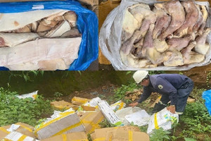 Phát hiện gần 1 tấn thịt heo, đùi gà bốc mùi trong kho đông lạnh, chủ cơ sở không xuất trình được giấy tờ