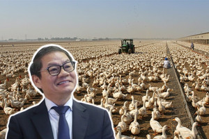 THACO AGRI muốn đầu tư 7.500 tỷ đồng vào Hưng Yên để trồng lúa, nuôi vịt, thả cá