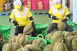 Đặc sản Việt Nam vừa đón tin vui từ thị trường hơn 1,4 tỷ dân