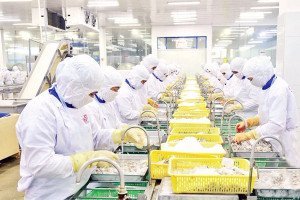 Lộ diện 8 mặt hàng 'gánh' mục tiêu xuất khẩu hơn 74 tỷ USD của nông sản Việt