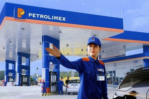 Vượt Vingroup, Hòa Phát, Thế Giới Di Động, một ông lớn Nhà nước thu về 136.000 tỷ đồng, lợi nhuận cao nhất lịch sử