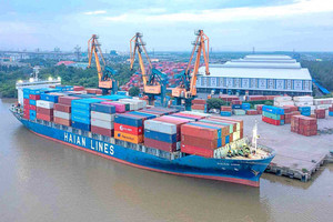 Viconship (VSC) báo lãi kỷ lục, đầu tư gần 2.500 tỷ vào HAH