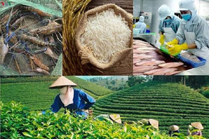 Nông sản Việt thu gần 43 tỷ USD sau 7 tháng nhưng cà phê, gạo, sầu riêng gặp khó
