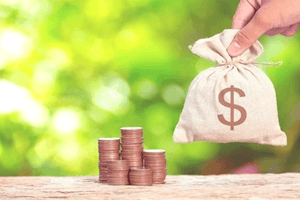 Lãi tăng vọt 127%, một doanh nghiệp bán lẻ xin ý kiến cổ đông chia cổ tức tỷ lệ 30%