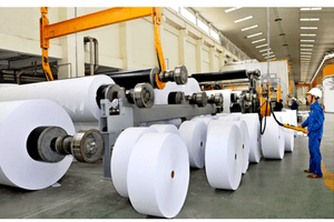 Bộ ba nền tảng 5S, Kaizen, TWI giúp nâng cao năng suất và chất lượng của doanh nghiệp ngành sản xuất giấy