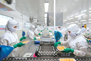 Xuất khẩu tôm giảm tốc, áp lực cạnh tranh ngày càng lớn