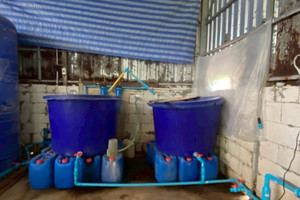 Đằng sau những gói cà phê và bột ngọt giá rẻ tuồn ra thị trường mỗi ngày là một dây chuyền pha chế rùng rợn do hai phụ nữ điều hành
